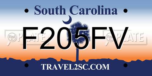 F205FV South Carolina License Plate