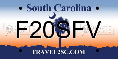 F20SFV South Carolina License Plate