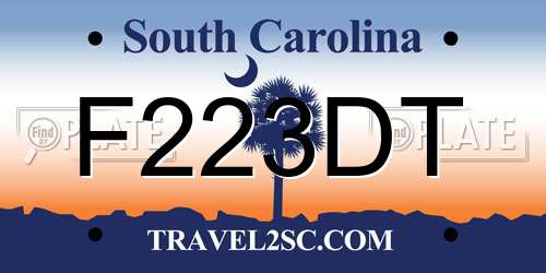 F223DT South Carolina License Plate