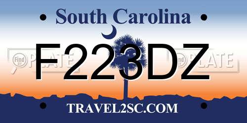 F223DZ South Carolina License Plate
