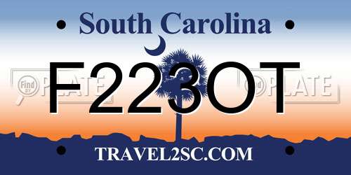 F223OT South Carolina License Plate