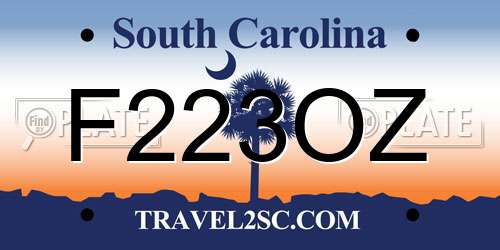 F223OZ South Carolina License Plate