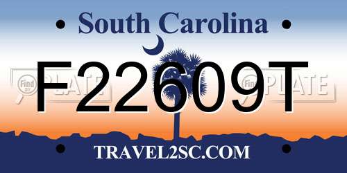 F22609T South Carolina License Plate