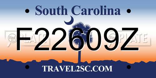 F22609Z South Carolina License Plate