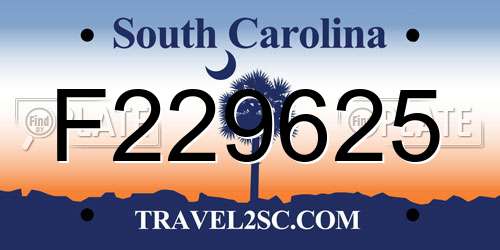 F229625 South Carolina License Plate