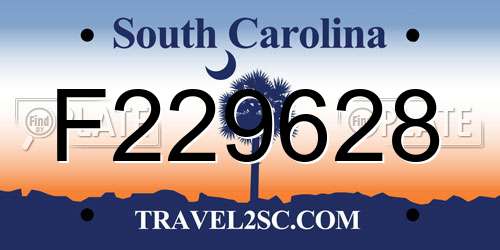 F229628 South Carolina License Plate