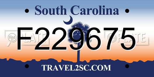 F229675 South Carolina License Plate