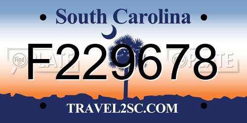 F229678 South Carolina License Plate