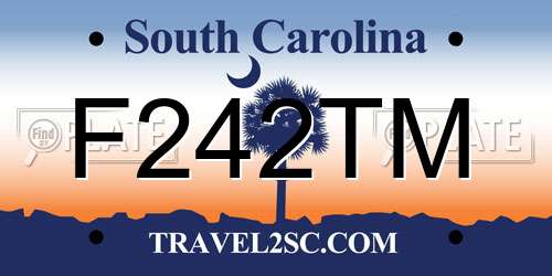 F242TM South Carolina License Plate