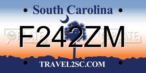 F242ZM South Carolina License Plate