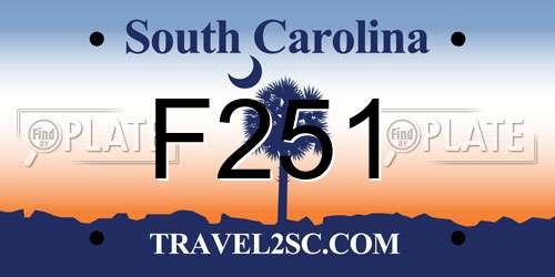 F251 South Carolina License Plate