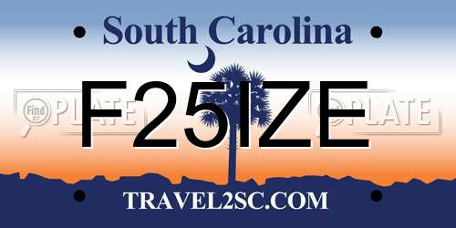 F25IZE South Carolina License Plate