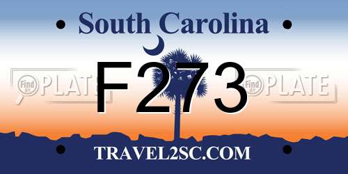 F273 South Carolina License Plate