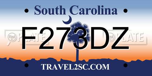 F273DZ South Carolina License Plate