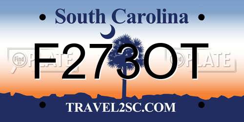 F273OT South Carolina License Plate
