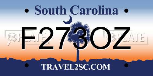 F273OZ South Carolina License Plate