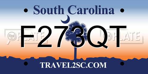 F273QT South Carolina License Plate