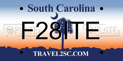 F28ITE South Carolina License Plate