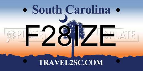 F28IZE South Carolina License Plate