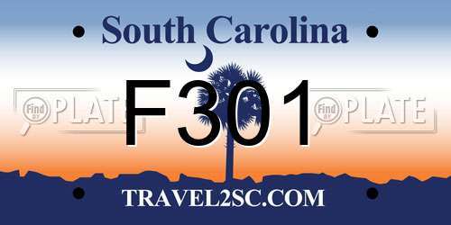 F301 South Carolina License Plate