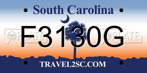 F3130G South Carolina License Plate