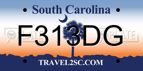 F313DG South Carolina License Plate