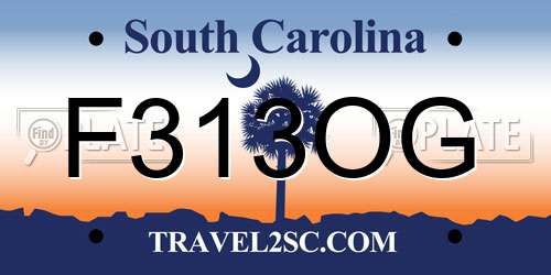 F313OG South Carolina License Plate