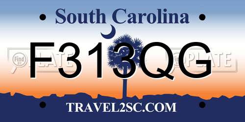 F313QG South Carolina License Plate