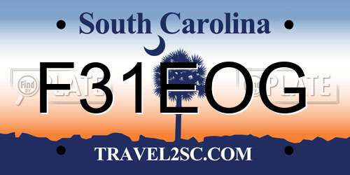 F31EOG South Carolina License Plate