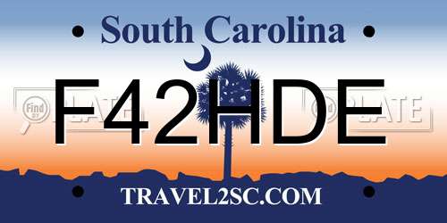 F42HDE South Carolina License Plate