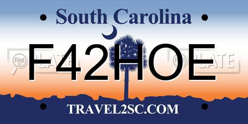 F42HOE South Carolina License Plate