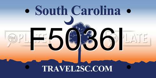 F5036I South Carolina License Plate