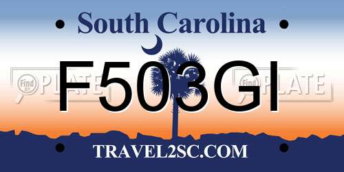 F503GI South Carolina License Plate