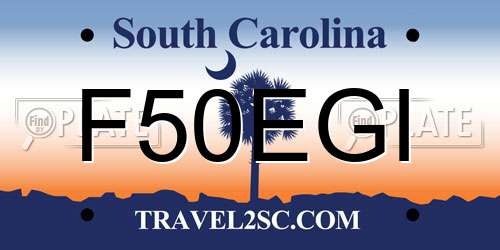 F50EGI South Carolina License Plate