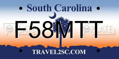 F58MTT South Carolina License Plate