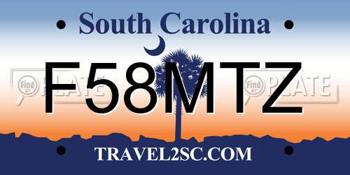 F58MTZ South Carolina License Plate