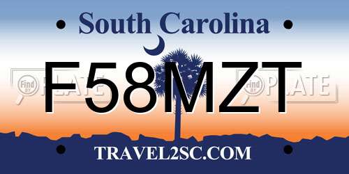 F58MZT South Carolina License Plate