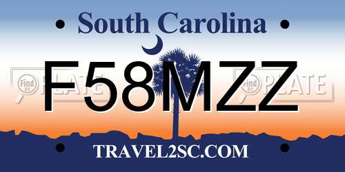 F58MZZ South Carolina License Plate