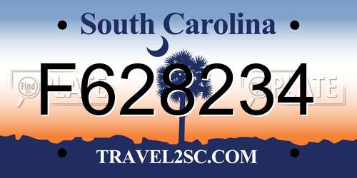 F628234 South Carolina License Plate