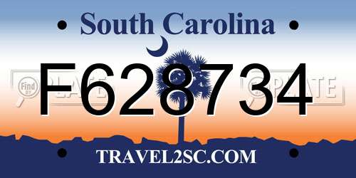 F628734 South Carolina License Plate