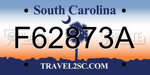F62873A South Carolina License Plate