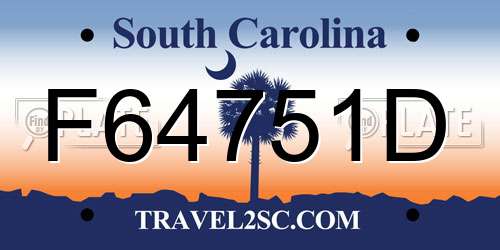 F64751D South Carolina License Plate