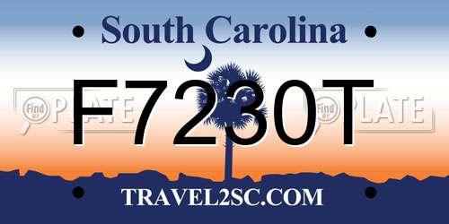 F7230T South Carolina License Plate