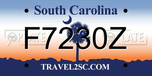 F7230Z South Carolina License Plate