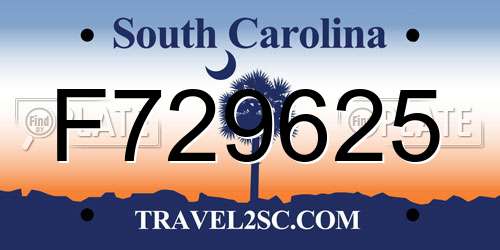 F729625 South Carolina License Plate