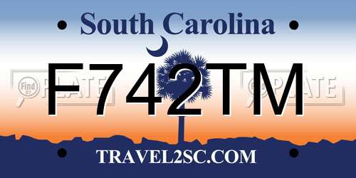 F742TM South Carolina License Plate