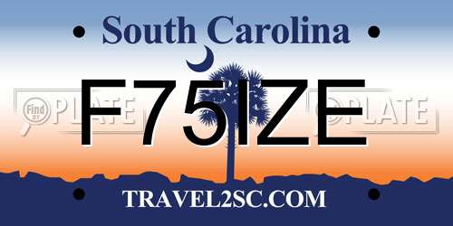F75IZE South Carolina License Plate