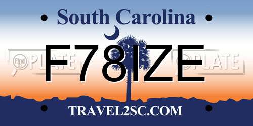 F78IZE South Carolina License Plate