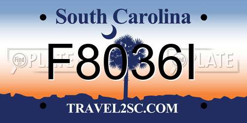 F8036I South Carolina License Plate