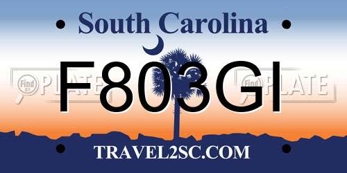 F803GI South Carolina License Plate